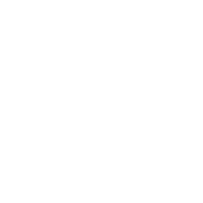 CO Consulting Group Ltd.